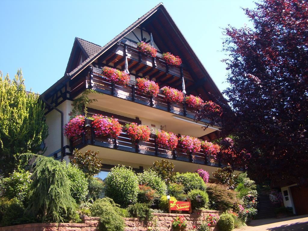 Landhaus Schneider Sasbachwalden Esterno foto