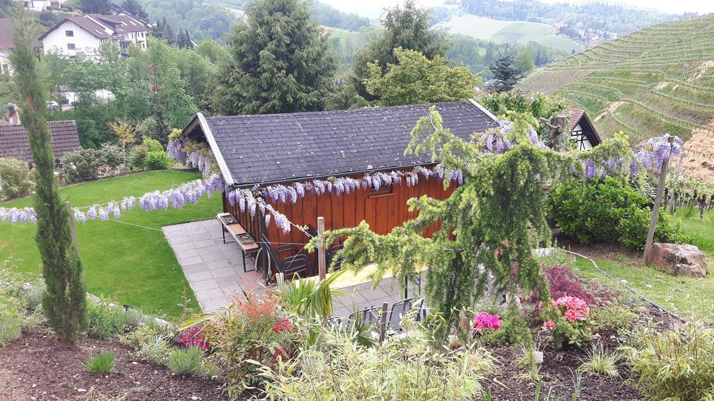 Landhaus Schneider Sasbachwalden Esterno foto